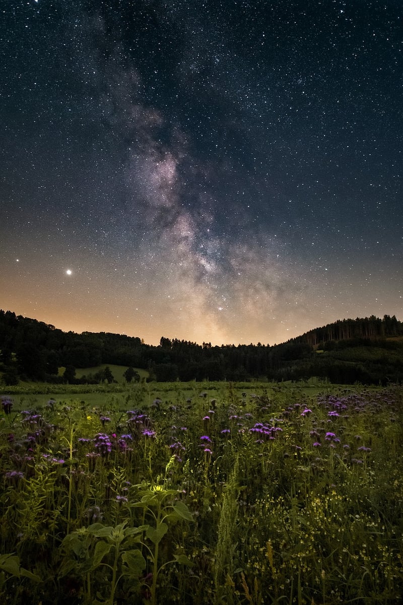 Galactic Beats